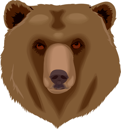 Cabeça do urso vector clipart