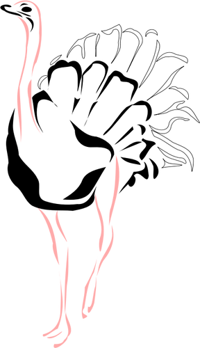 Страус с розовыми ноги векторные иллюстрации