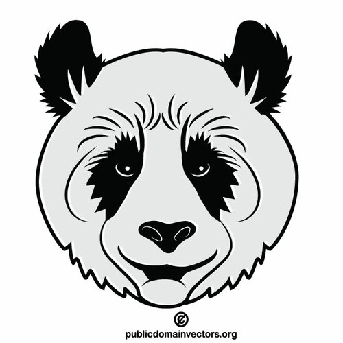 Testa di panda