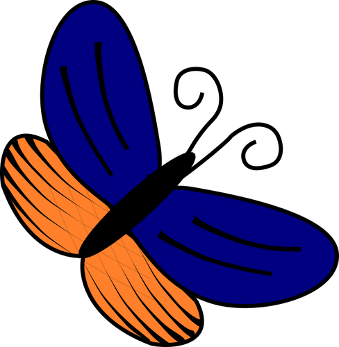 Mariposa azul y naranja