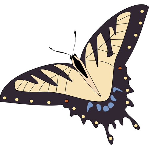 Vector de la imagen de mariposas tropicales