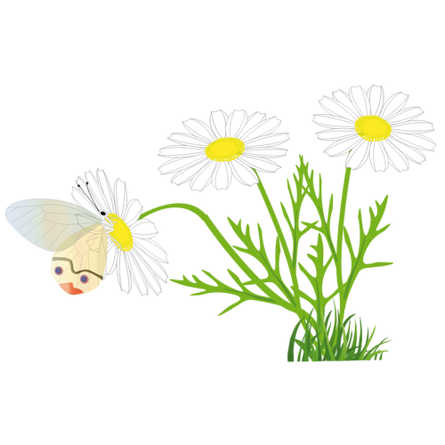 Fjäril på en daisy-vektorbild