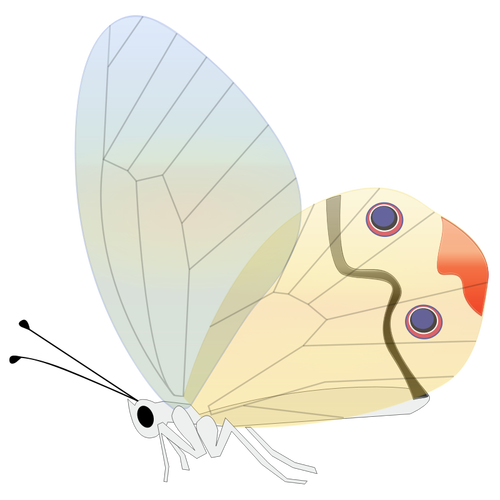 Sarjakuva perhonen vektori kuva