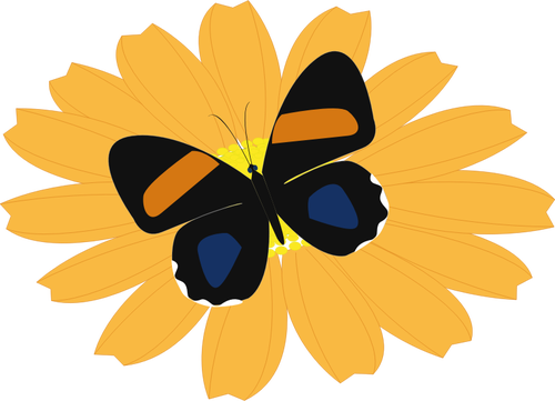 Grafik av svart fjäril på en orange blomma