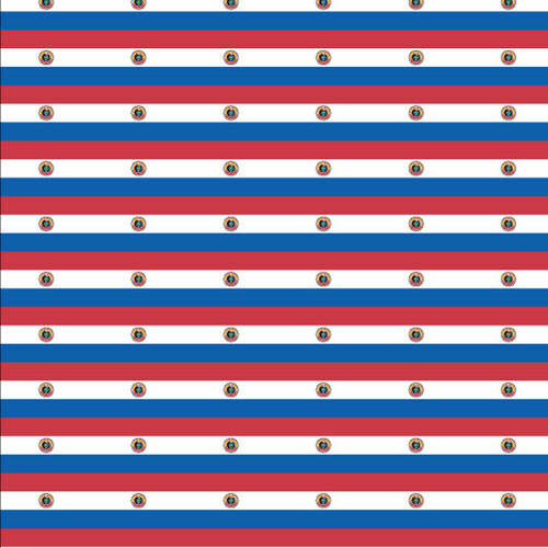 Bandeira do padrão sem emenda de Paraguai