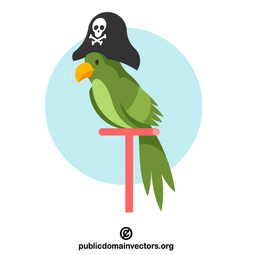 Parrot with pirate hat