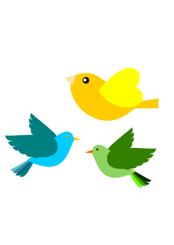 Illustraties van drie verschillende vliegende vogels