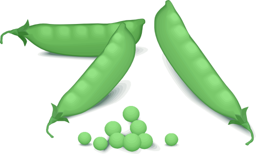 Imagen vectorial de guisantes verdes