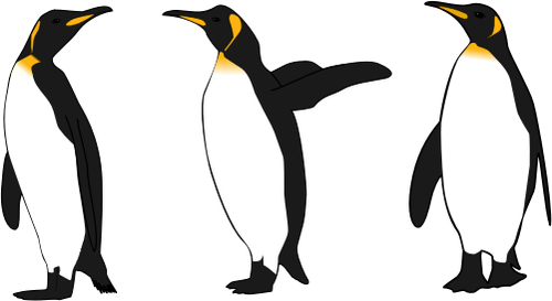 Tre kung pingviner