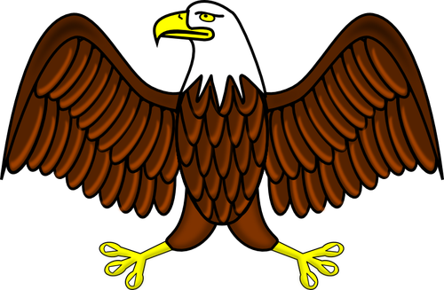 Bald eagle vector färgbild