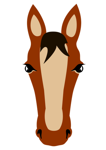 घोड़े का चेहरा
