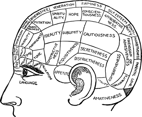 Phrenology 차트