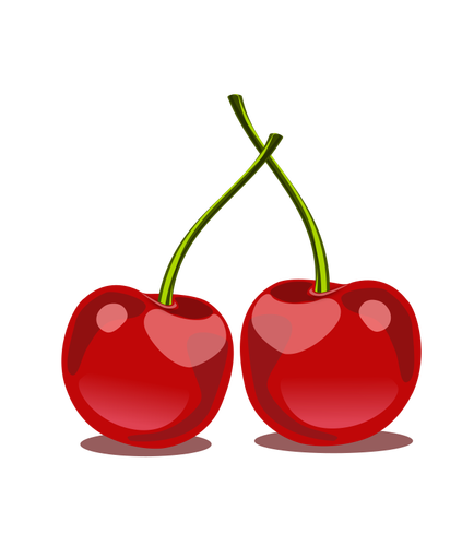 Glossy cherry fruit