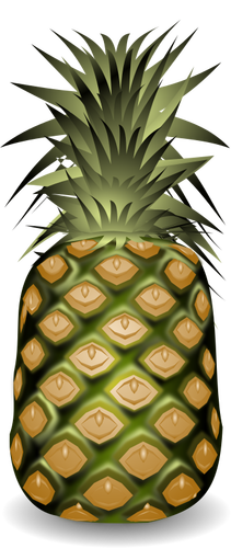 Pineapple fruit