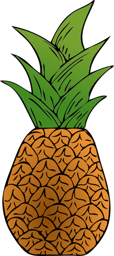 Vector image of tropical pineapple