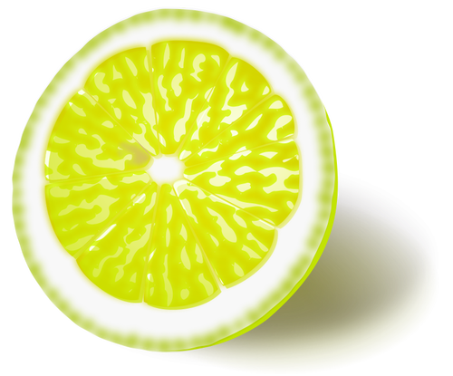 Citron eller lime vektorbild