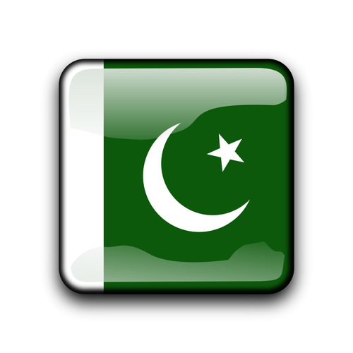 Pakistán vector bandera dentro de forma cuadrada