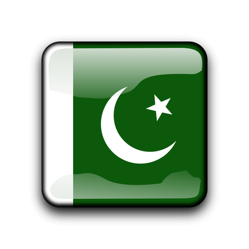 Pakistan vektor flagga inuti kvadratisk form