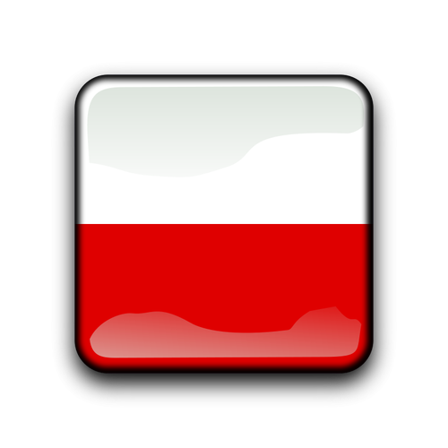 Polen vector vlag binnen vierkant