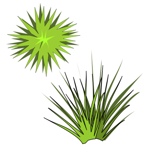 Illustration vectorielle de plante épineuse verte avec soleil vert ci-dessus