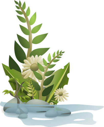 Vektor-Grafiken der Auswahl von Pflanzen in Wasser