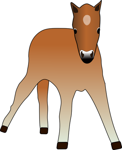 Vector drawing of young foal