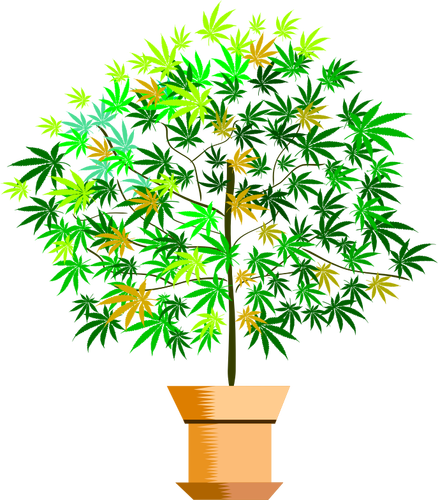 Potted plant vector image