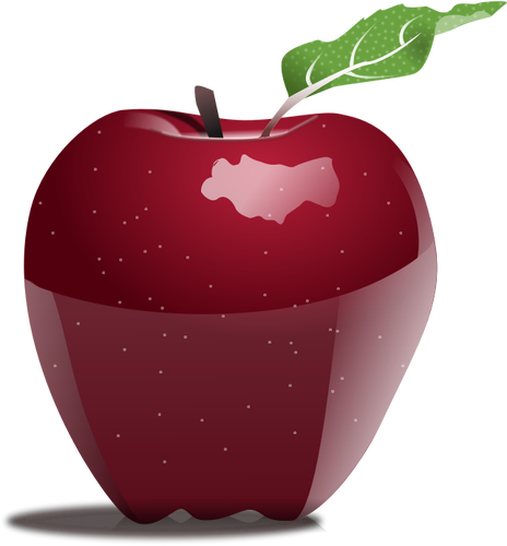 صورة متجهية واقعية من التفاح