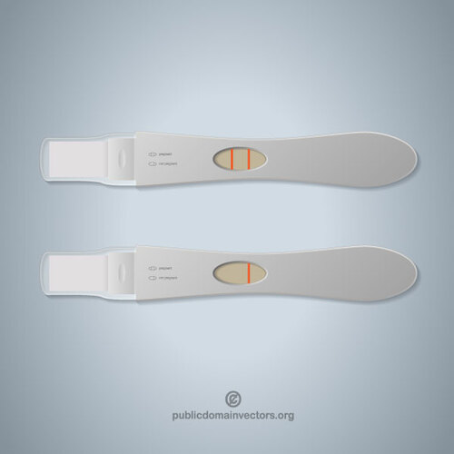 Pregnancy test vector image