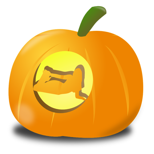 Girl pumpkin vector image