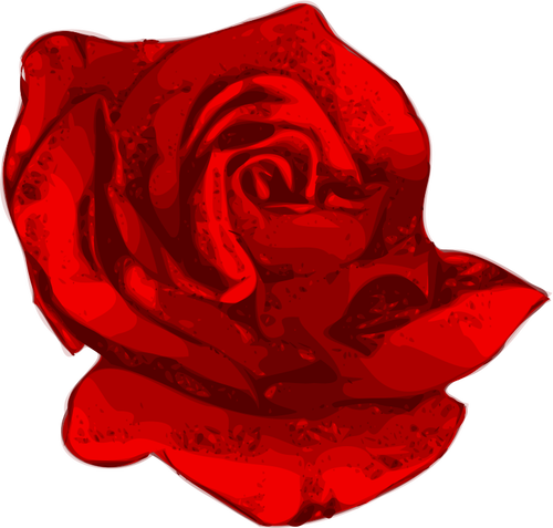 Rose rot