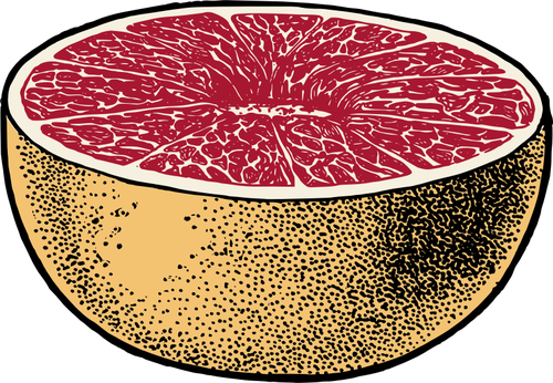 Vektorový obrázek červeného grapefruitu snížit na polovinu