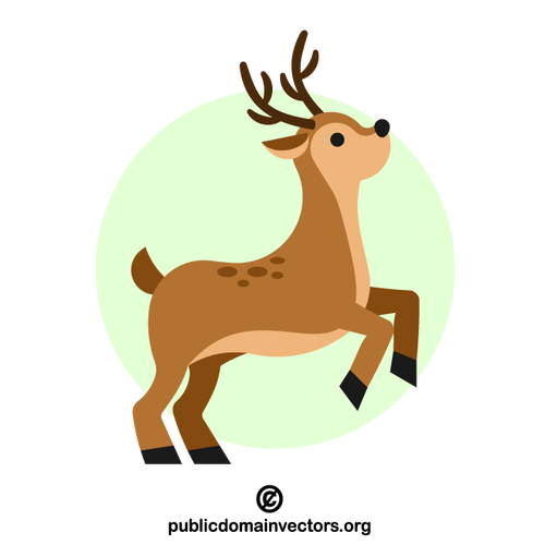 Reindeer