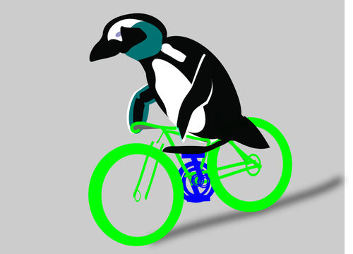 Pingouin cyclisme