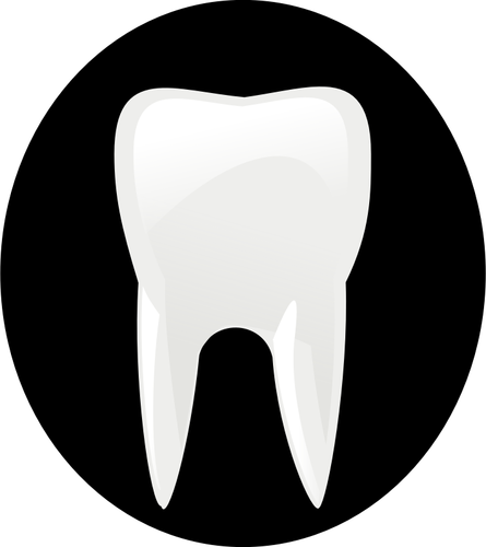 Tooth black an dwhite pictogram vector image