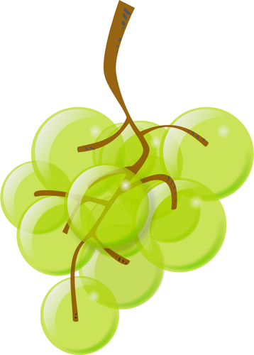 Gráficos vetoriais de uvas verdes semi-transparentes