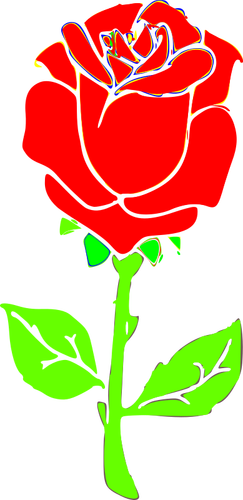 Rose Menggambar Gambar