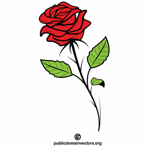 Rose Blume Farbe ClipArt