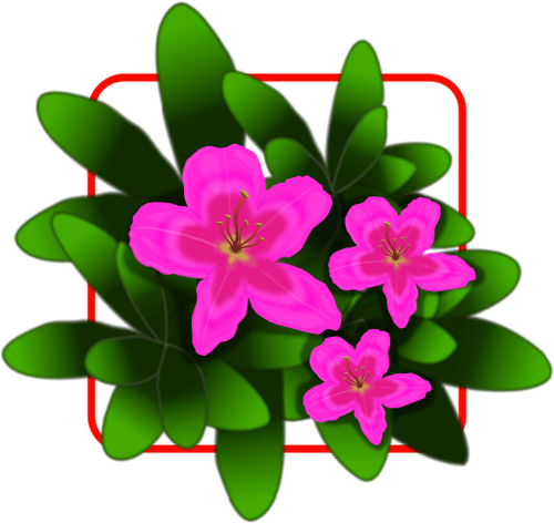 Dibujo vectorial de azalea rosa