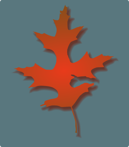 Oak Leaf vector