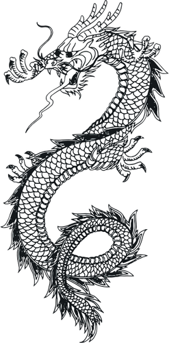 Desenho de um dragão vetorial