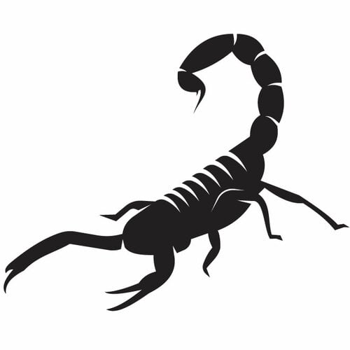 Arte do tatuagem da silhueta do escorpião