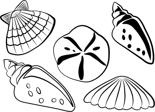 Ilustración de vector de conchas de mar