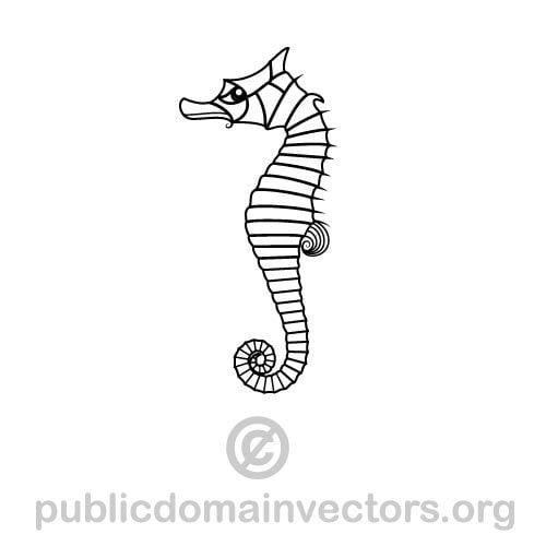 Seahorse vector graphics