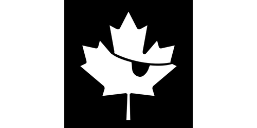 Vector graphics of pirate maple leaf