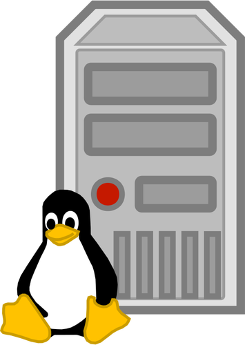 Farbe-Vektor-Bild des Linux-Servers