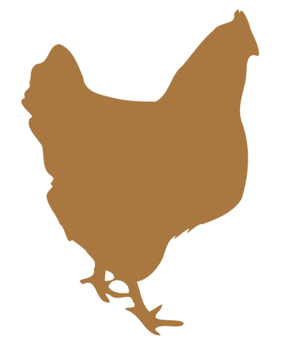 Silhouette de poule