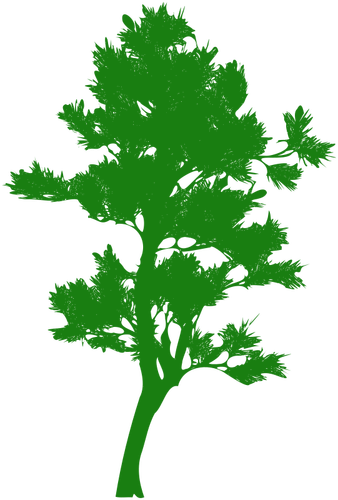 Großer Baum silhouette