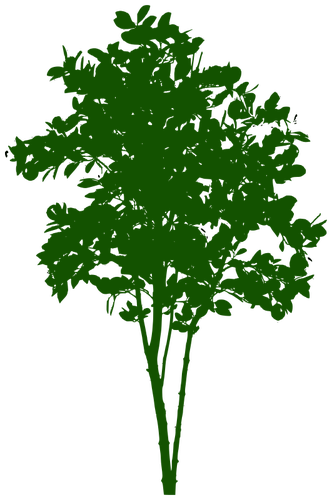 Symbole de petit arbre