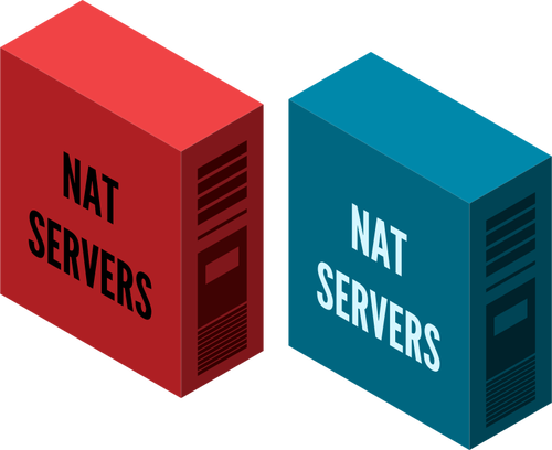 Image de vecteur pour le serveur NAT